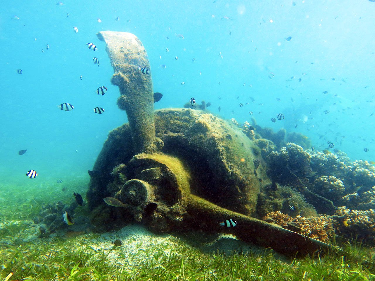 Paradise Found on a Louisiade Archipelago Cruise with True North
