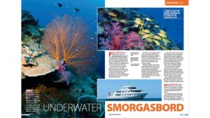 Rowley Shoals Nigel Marsh Underwater Photographer