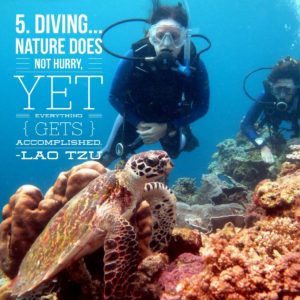 DIVING The waters of Papua New Guinea